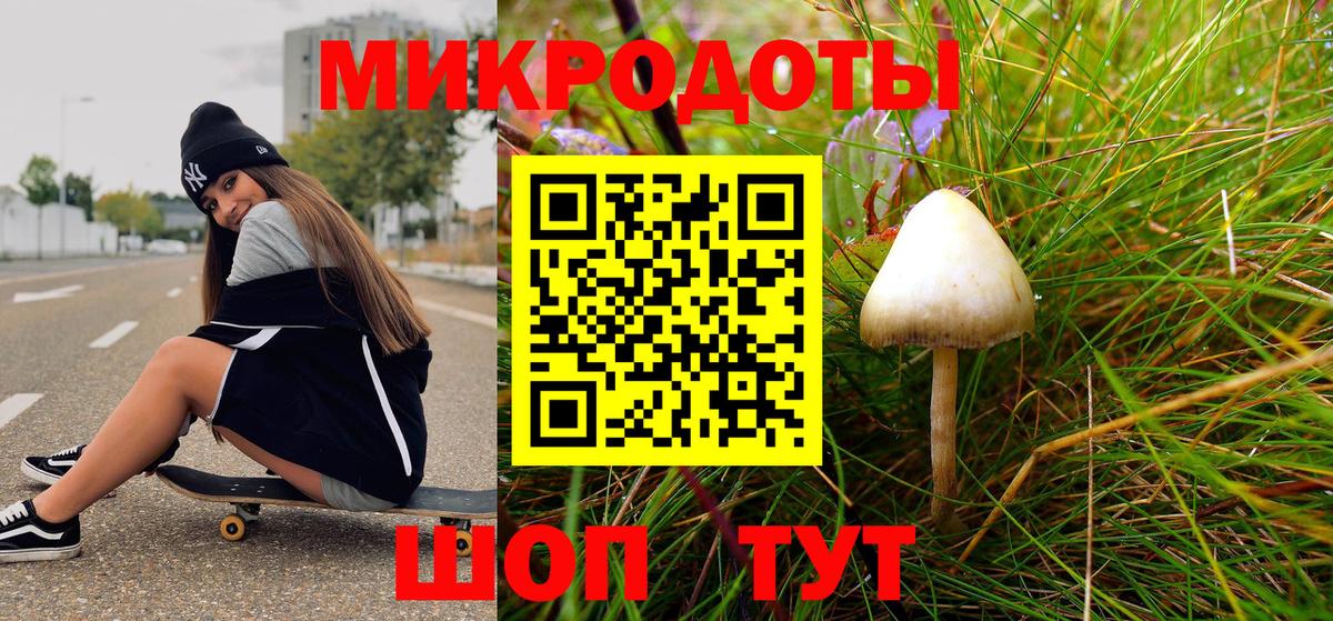 Сергиев Посад  Псилоцибиновые грибы MAGIC MUSHROOMS  Вход с VPN 